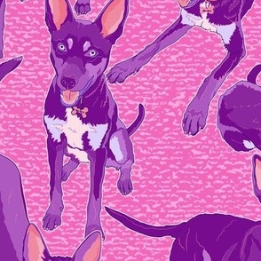 who's a good boy?! Australian kelpie dog // large scale - hot pink purple