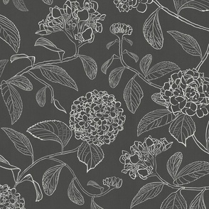 Medium scale charcoal grey and white hydrangea floral for wallpaper and home decor