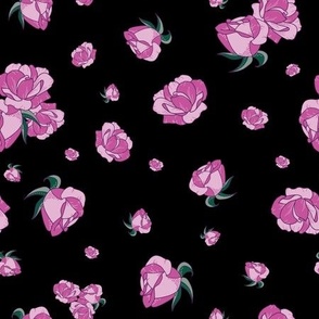 Pink Roses on Black