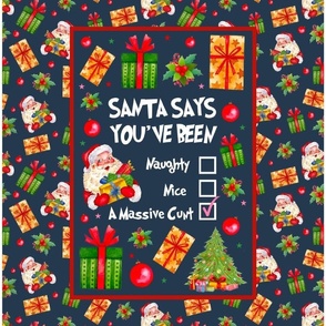 14x18 Panel Santa Says You've Been Naughty Nice A Massive Cunt Sarcastic Sweary Holidays on Navy for DIY Garden Flag Small Wall Hanging Tea Towel or Bag Front