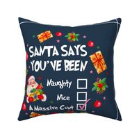 18x18 Panel Santa Says You've Been Naughty Nice a Massive Cunt Sarcastic Sweary Holidays on Navy for DIY Throw Pillow Cushion Cover Tote Bag