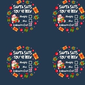 3" Circle Panel Santa Says You've Been Naughty Nice A Massive Cunt Sarcastic Sweary Holidays on Navy for Embroidery Hoop Projects Quilt Squares Iron on Patches Small Crafts