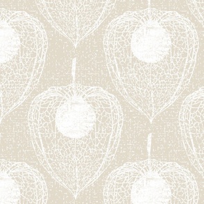  Chinese Lantern Plant Simple and Modern Neutral Textured  White and Panna Cotta Background 13.33"