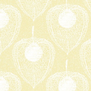  Chinese Lantern Plant Simple and Modern Neutral Textured  White and Butter Background 13.33"