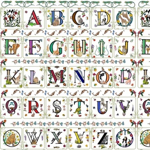 Alphabet  with Multi-Color Letters