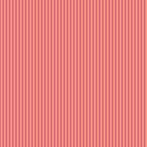 Blush and Tangerine stripes (5mm) - orange, pink (ST2023WCS)