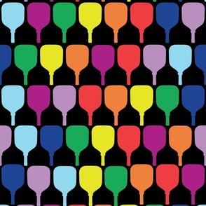 Rainbow pickleball paddles pattern on black
