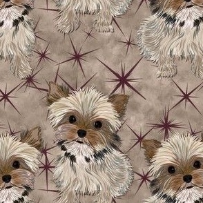 Blotchy Puppy with Stars -  abt 3 1/2"