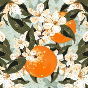 Citrus Grove on Light Teal, Floral Orange Cream White Blossom Flowers, Succulent Leaf Green Foliage Illustration Drawn By Me, Orange Fruit Citrus Grove, Blossom Flower Tree, White Cream Blossom Flowers, Succulent Blossom Flower Fruit Trees, Painterly Gree