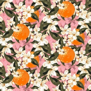 Orange Blossom Flowers on Pink, Farmhouse Kitchen Garden Fruits, Summer Oranges, Leafy Green Foliage and Pink Floral Background
