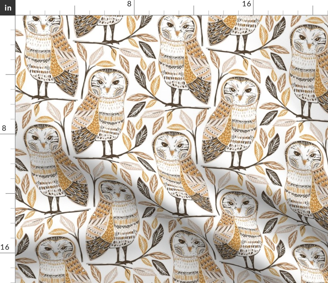 Barn Owls medium