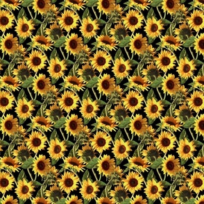 Sunflowers on Black Extra Small Print