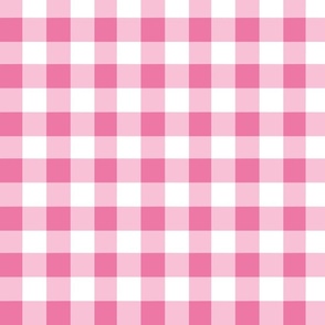 Carnation Pink Gingham, Gingham Fabric, Nursery Fabric, Baby Fabric, Baby Quilt, Baby Apparel, Quilting, Check, Valentines Day, Valentine