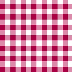 Beet Red Gingham, Gingham Fabric, Nursery Fabric, Baby Fabric, Baby Quilt, Baby Apparel, Quilting, Check, Valentines Day, Valentine