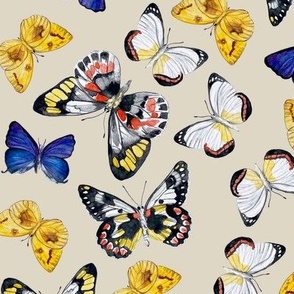 Hand painted museum butterflies on oat milk / 12"