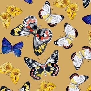 Hand painted museum butterflies on mustard / 12"