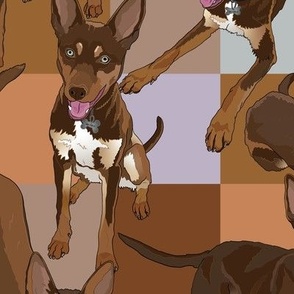 who's a good boy?! Australian kelpie dog // large scale checks - original brown dogs on neutrals