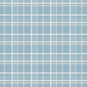 Vintage blue color checkered