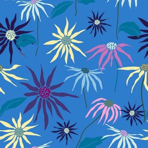 Echinacea flowers in blue