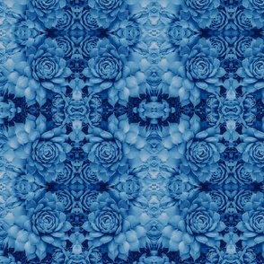 Blue Succulents (medium design)