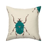 Jewel beetle small beige in teal and brown