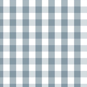 Winter Blue and White French Provincial Winter Gingham Check