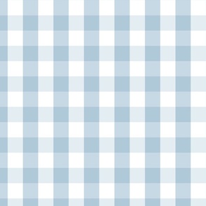 Sky Blue and White French Provincial Winter Gingham Check