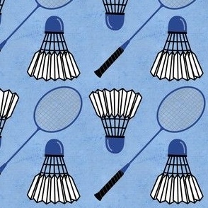 badminton - blue on blue