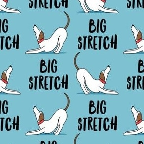 Big Stretch Dog - summer blue - LAD23