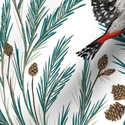 Pineta: Pine Forest with Branches, Pine Cones, Woodpeckers and Robins