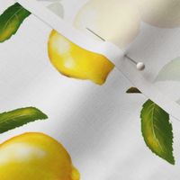 Citrus Lemon Branches
