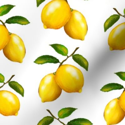 Citrus Lemon Branches