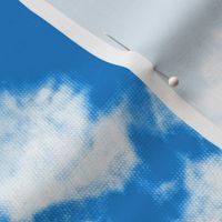 Bluebell Storm - Tie Dye Shibori Texture