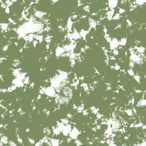Sage Green Storm - Tie Dye Shibori Texture