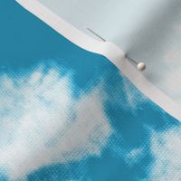Blue caribbean ocean - Tie Dye Shibori Texture