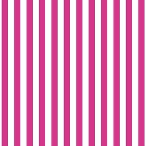 1/4 inch Candy Stripe in hot pink and white  0.25 inch - 7