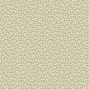 Ditsy Modern White Flowers, Spring Dim Green Background