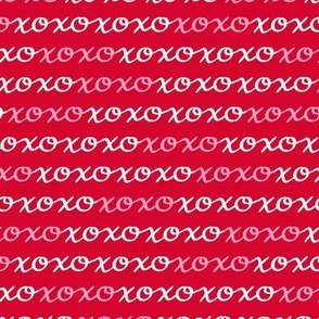 XOXO Stripe in Red Rose (Medium)
