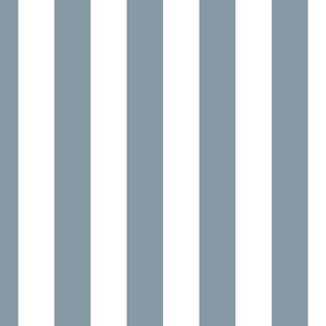 Winter Blue and White Vertical 2 inch French Provincial Cabana Stripe