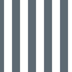 Ice Blue and White Vertical 2 inch French Provincial Cabana Stripe