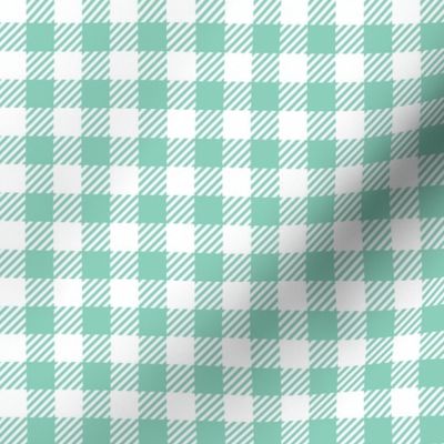 Gingham (Mint 0.5 inch check)