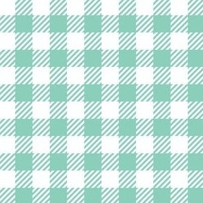 Gingham (Mint 0.5 inch check)