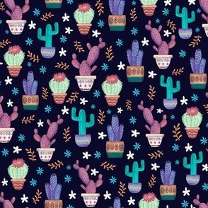 Colorful cactuses - small scale