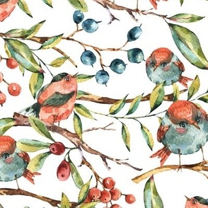 Watercolor Birds and Berries on White