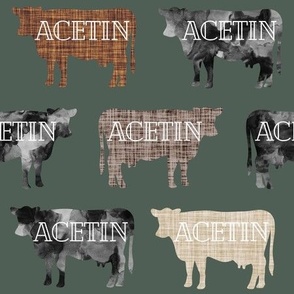Acetin: Cheque Font on 177-12 Cows