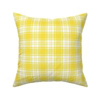 FS Daisy Yellow and White Check Plaid