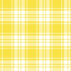 FS Daisy Yellow and White Check Plaid