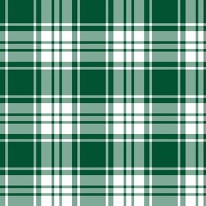 FS Dark Green and White Plaid Check