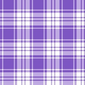 FS Grape Purple Plaid with White Background