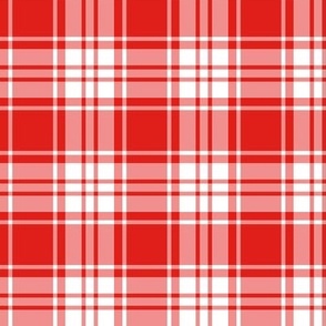 FS Cherry Red and White Check Plaid